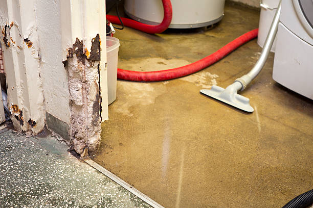 flood damage restoration Belgrade, MT